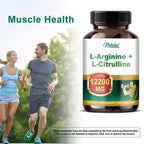 Creatine Monohydrate Capsules for Muscle Growth 120 Count