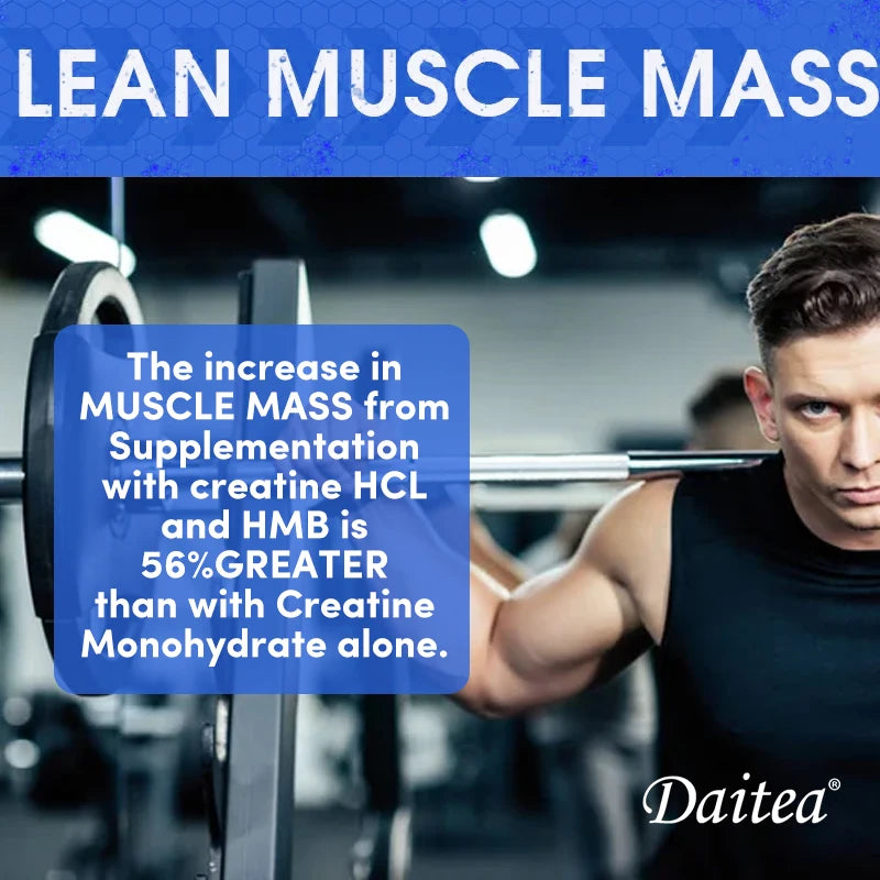 Daitea Creatine Monohydrate 3000 mg Supplement